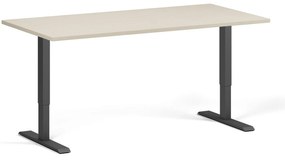 Výškovo nastaviteľný stôl, 160x80 cm, 2 motory, čierna podnož, breza