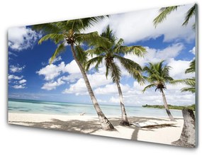 Obraz na akrylátovom skle More pláž palma krajina 100x50 cm