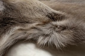 Koberec RENIFER POK012 sivý / béžový