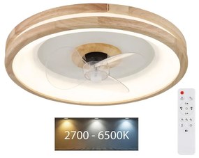 Globo 03650