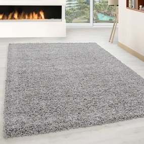Koberce Breno Kusový koberec LIFE 1500 Light Grey, strieborná,60 x 110 cm
