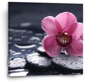 Sablio Obraz Orchidea - 50x50 cm
