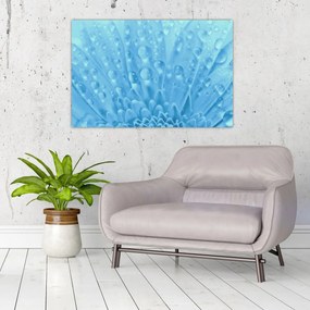 Obraz - Makro záber kvetu (90x60 cm)