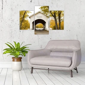 Obraz mosta v Oregone (90x60 cm)