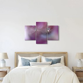 Obraz kvapôčok na páperí (90x60 cm)