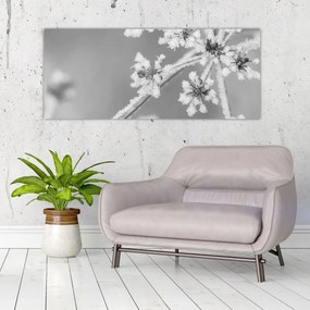 Obraz - Zamrznutá rastlina (120x50 cm)