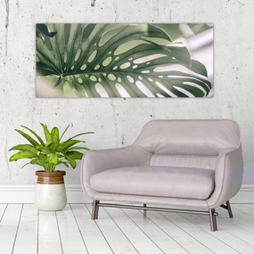 Obraz - List monštier (120x50 cm)