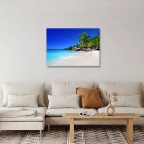 Obraz pláže na Praslin ostrove (70x50 cm)