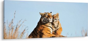 Obraz - Tigrice a jej mláďa (120x50 cm)