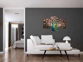 Obraz - Páv (90x60 cm)