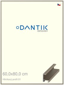 DANTIK rám na obraz 60x80 | ALU champagne (Plexi Čiré)