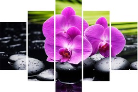 Obraz - Orchidey (150x105 cm)