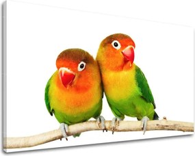 Obraz na stenu ZVIERATÁ ZV045E11