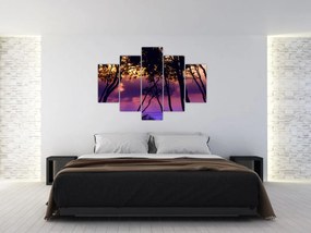 Obraz - Stromy pri západe slnka (150x105 cm)