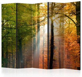 Artgeist Paraván - Forest Colours [Room Dividers]