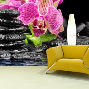 Sablio Tapeta Orchidea na kameňoch - 125x75 cm