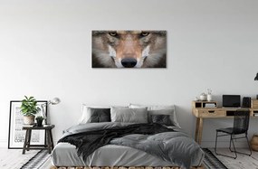 Obraz na plátne wolf Eyes 125x50 cm
