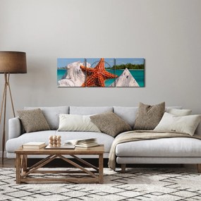 Obraz morskej hviezdice (s hodinami) (90x30 cm)
