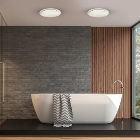Stropné LED svietidlo Ontario, 1x LED 24w, 3000-6000k, w, s ovládačom