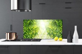 Nástenný panel  Listy príroda rastlina 140x70 cm