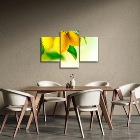 Obraz citrónov (90x60 cm)