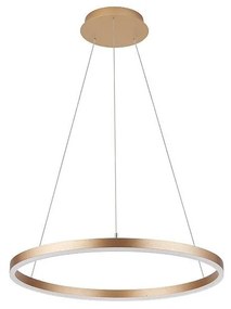 Palnas - Luster na lanku DONA LED/32W/230V pr. 40 cm