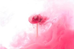 Samolepiaca tapeta romantický kvet v objatí ružovej
