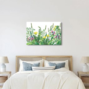 Obraz - Maľované lúčne kvety (90x60 cm)