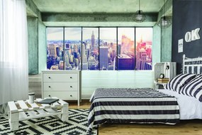 Fototapeta - Pohľad na New York City (152,5x104 cm)