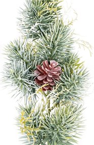 Vetvička srienistá borovica, 46 cm