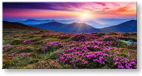 Obraz na stenu PANORÁMA KRAJINA | rôzne rozmery