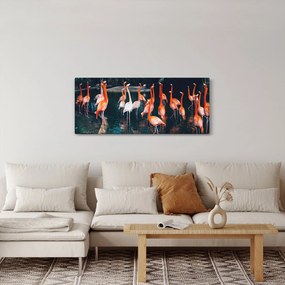 Obraz stádo plameniakov (120x50 cm)