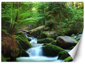 Fototapeta, Zelený les Krajina - 250x175 cm