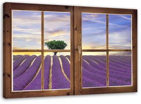 Obraz na plátně Výhled z okna na levandulové pole - 90x60 cm