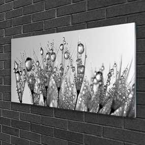 Skleneny obraz Abstrakcie rastlina príroda 120x60 cm