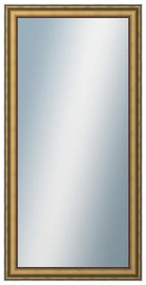 DANTIK - Zrkadlo v rámu, rozmer s rámom 50x100 cm z lišty DOPRODEJMETAL AU prohlá velká (3022)