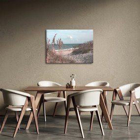 Obraz - Ružová pláž (70x50 cm)