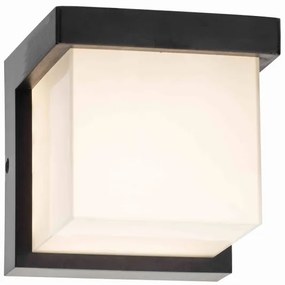 LED Vonkajšie nástenné svietidlo MORGAN LED/10W/230V IP54