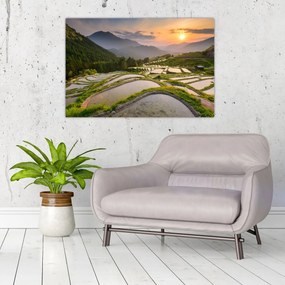 Obraz - Ryžové terasy (90x60 cm)