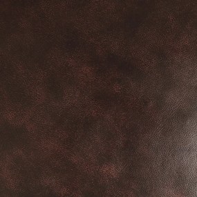 Kreslo z pravej hovädzej kože Brown Brown
