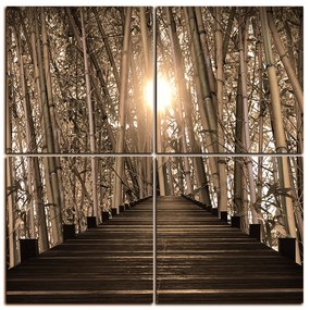 Obraz na plátne - Drevená promenáda v bambusovom lese - štvorec 3172FE (60x60 cm)