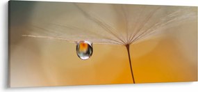 Obraz - Makro kvetu (120x50 cm)