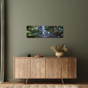 Obraz australského dažďového lesa (s hodinami) (90x30 cm)