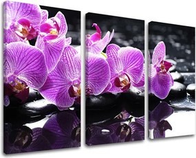 Obraz na stenu 3 dielny FENG SHUI FS024E30