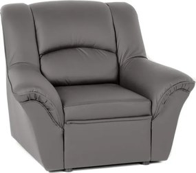 Kožené kreslo Dubaj LUX, šedá (U-25)