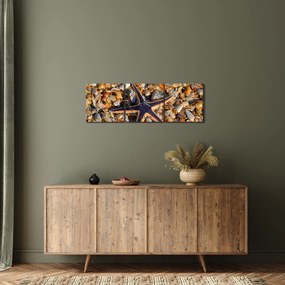 Obraz morskej hviezdice (s hodinami) (90x30 cm)