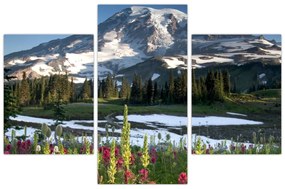 Obraz - Mount Rainier (90x60 cm)