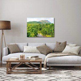 Obraz - Babi Hora, Poľsko (70x50 cm)