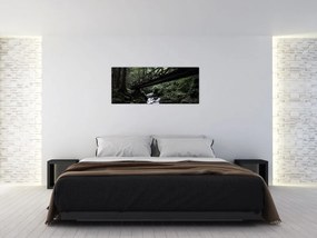 Obraz z čierneho lesa (120x50 cm)