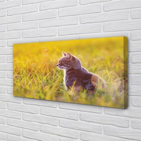 Obraz na plátne lov cat 125x50 cm